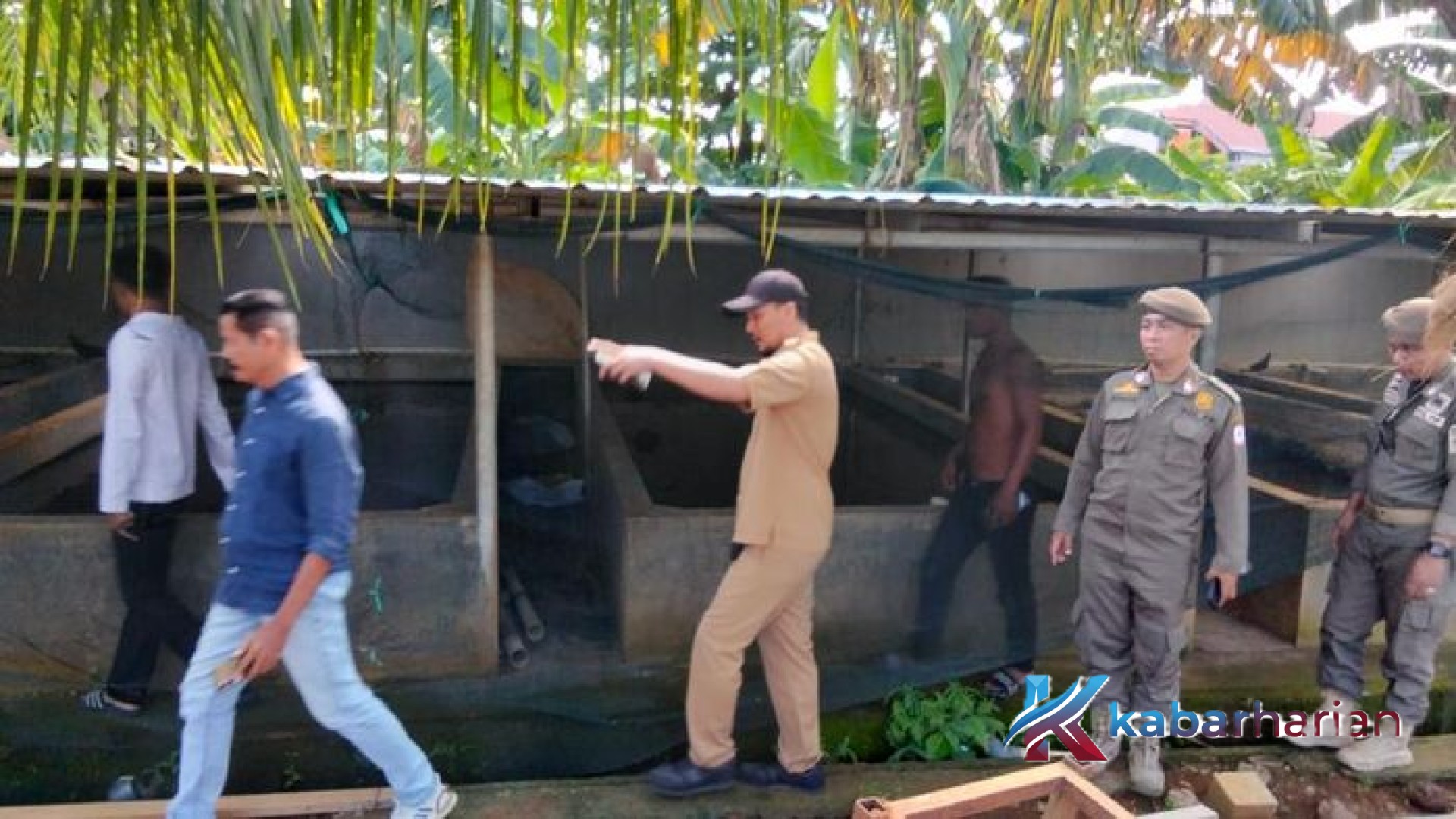 Geger Kandang Babi di Tengah Kompleks Gudang Farmasi Makassar: Ancaman Higienitas atau Sekadar Hobi?