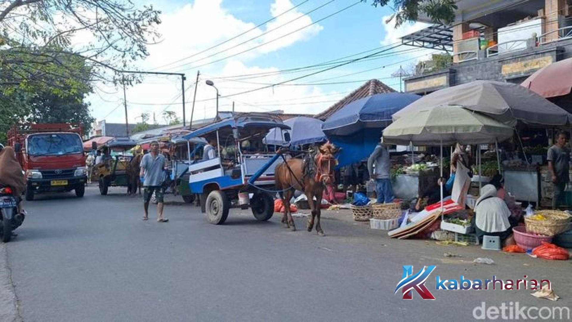 Menata Wajah Kota Mataram: Dilema Cidomo dan Anggaran Puluhan Juta Demi Atasi Ceceran Kotoran Kuda