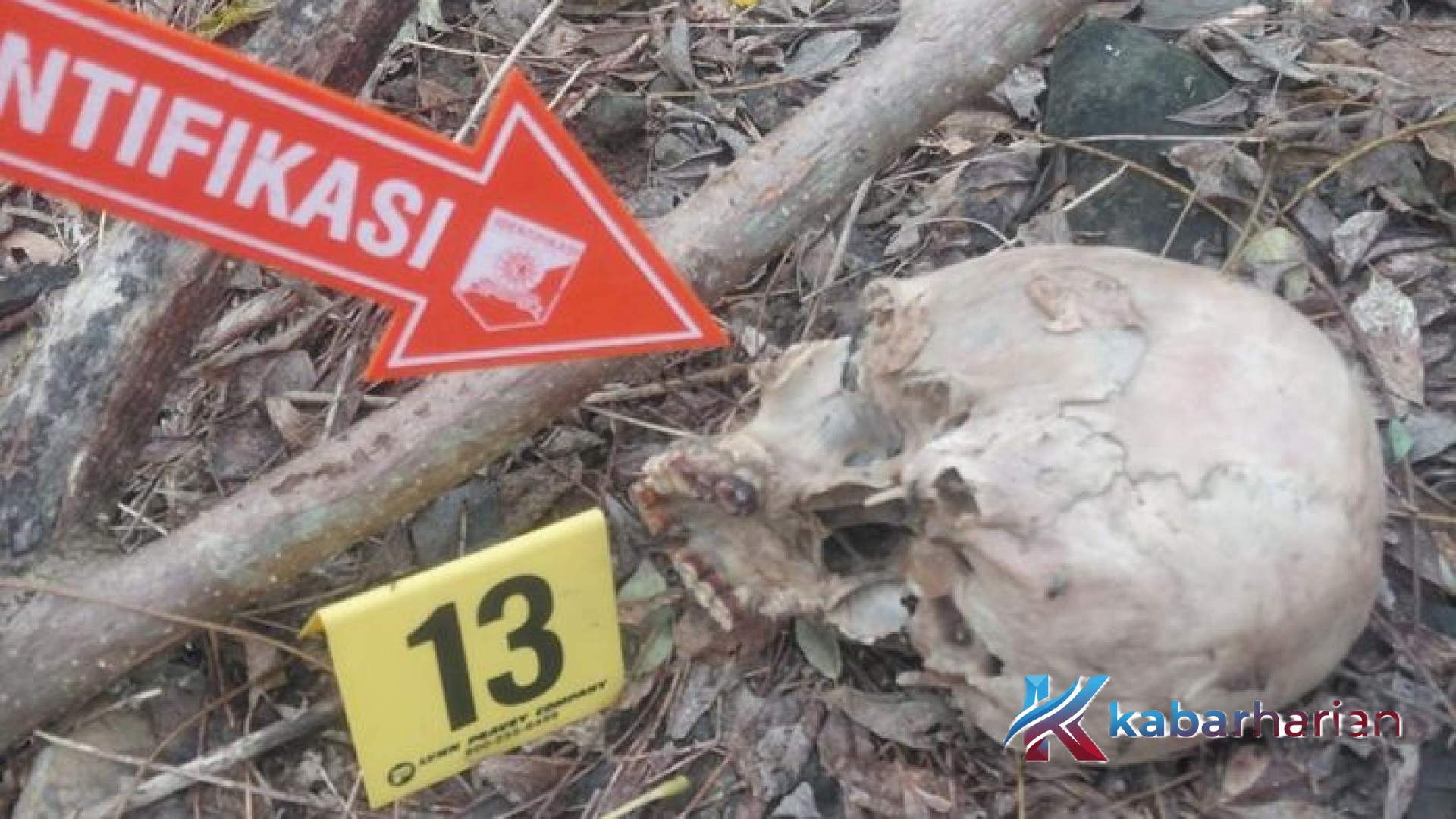 Tragedi Berdarah di Hutan Malaka: Menguak Tabir Dendam Tiga Bersaudara yang Menghabisi Nyawa Ayah Kandung