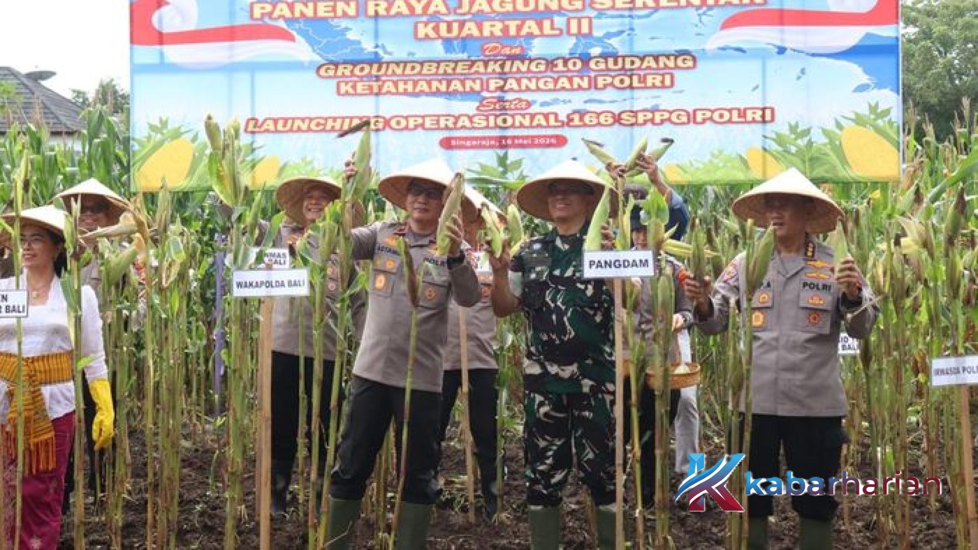 Strategi Polres Gianyar Perkuat Ketahanan Pangan: Panen Raya 5 Ton Jagung dan Peluncuran SPPG untuk Generasi Sehat