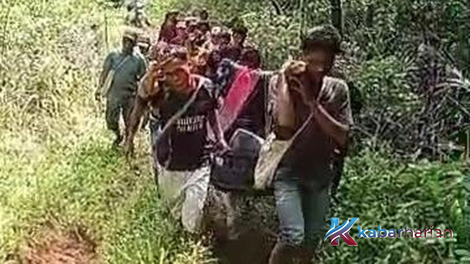 Tragedi Kemanusiaan di Tapanuli Selatan: Nestapa Tuty Daulay yang Ditandu 7 Jam Saat Hamil Tua